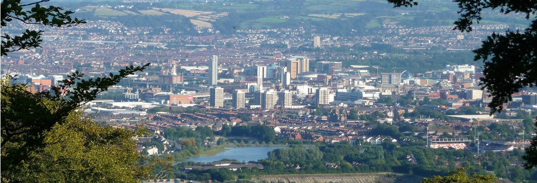 Belfast city view