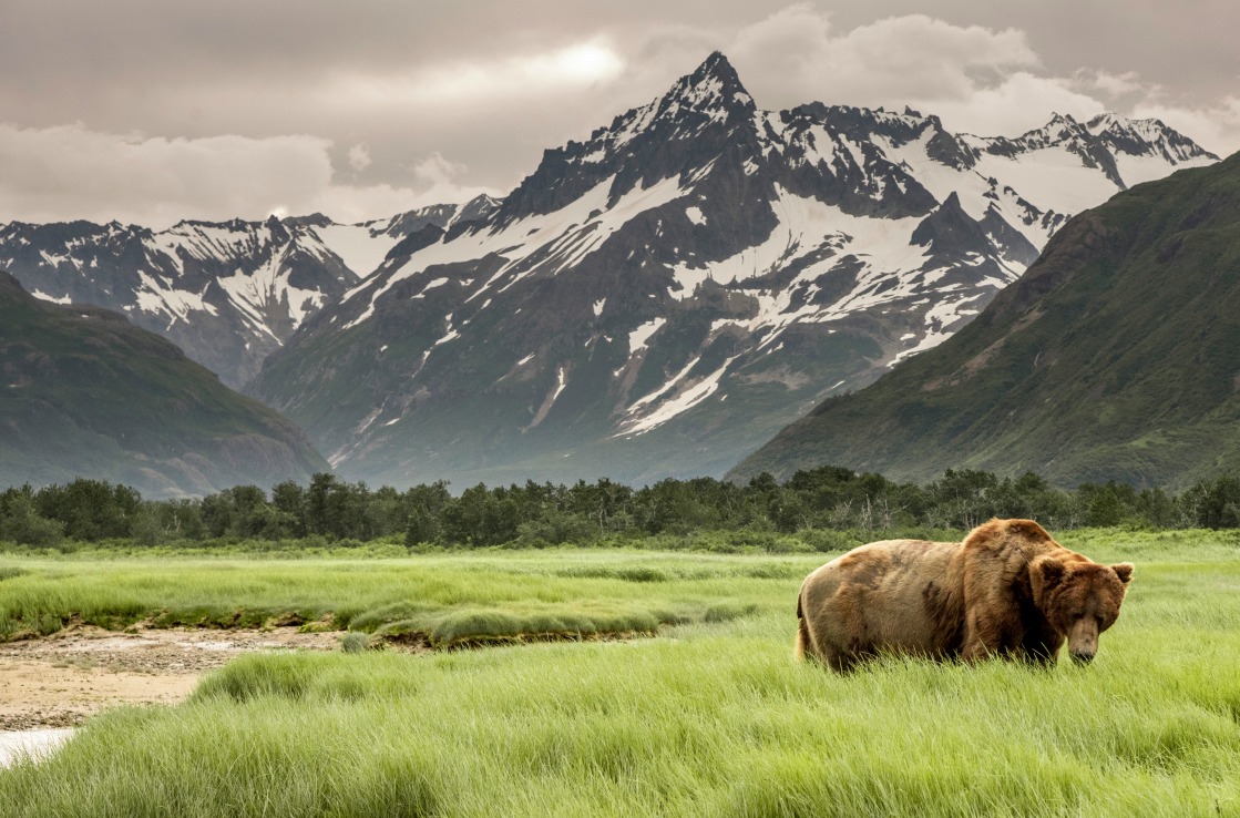 Qué hacer en Alaska en verano