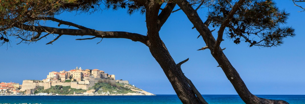 Location De Voiture A Calvi Hertz