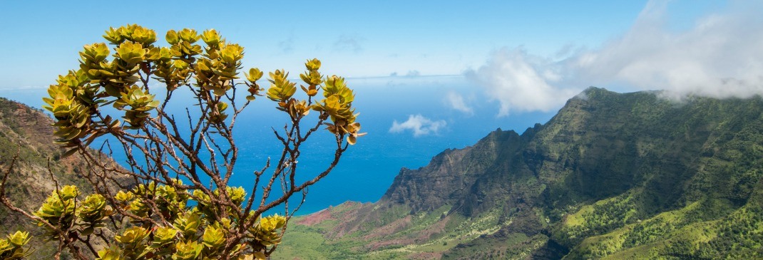 Kauai