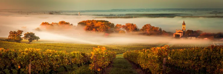 Visiter Bordeaux et la Gironde en voiture : un incontournable touristique