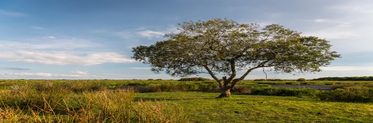 Voyage au cœur du Parc Naturel Régional de Brière 