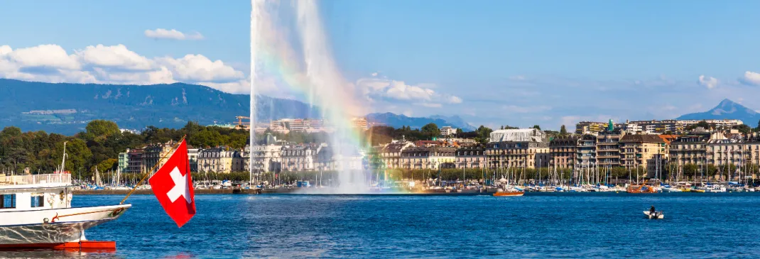 A quick guide to Geneva