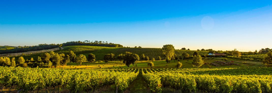 Guide touristique de Bordeaux et sa région
