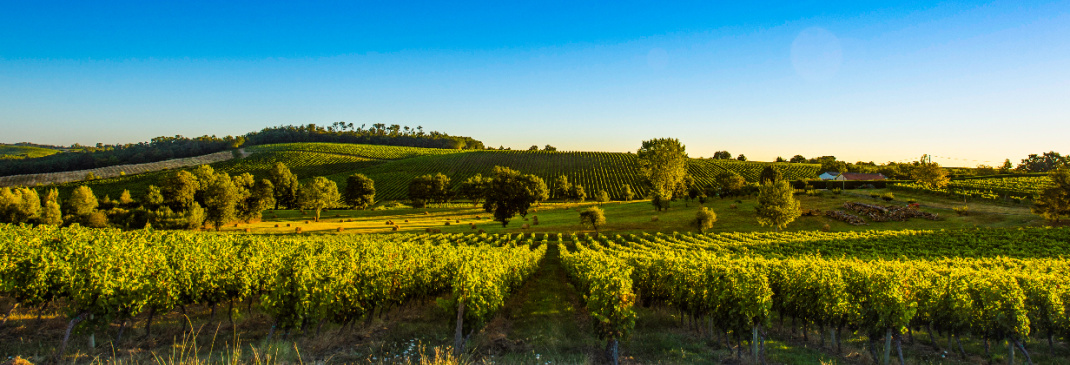 Guide touristique de Bordeaux