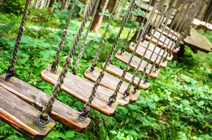 Hochseilgarten am Bodensee.