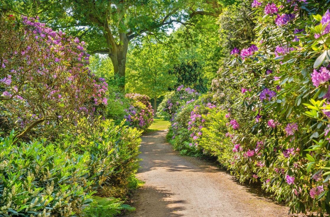 gardens in Hamburg