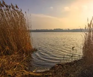 Beim Camping die Lausitz entdecken