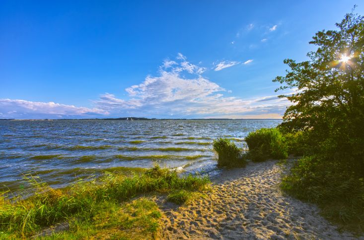 Strand an der Mecklenburgischen Seenplatte.