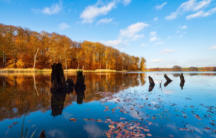 Müritz im Herbst.