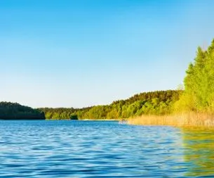 Tagesausflüge zu den Ufern der Müritz