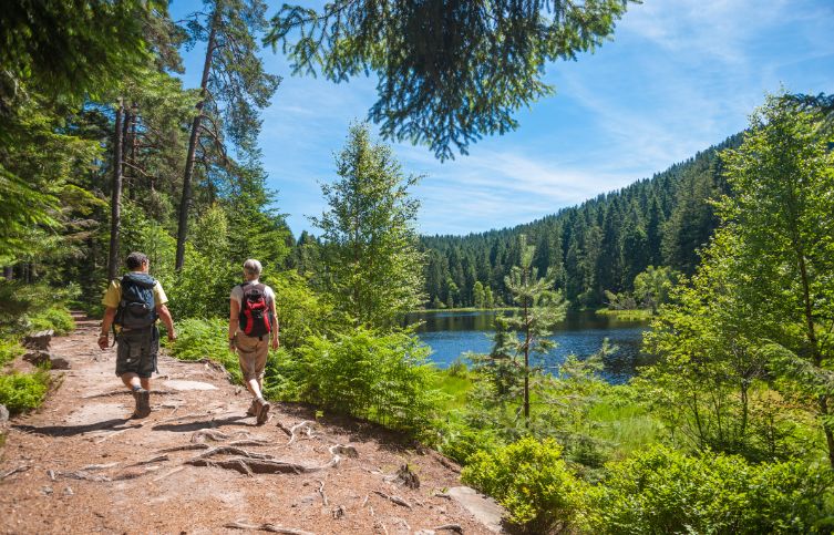 Wanderer im Schwarzwald.