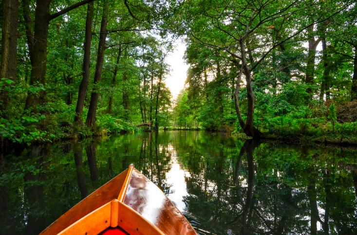 Kanufahrt im Spreewald.