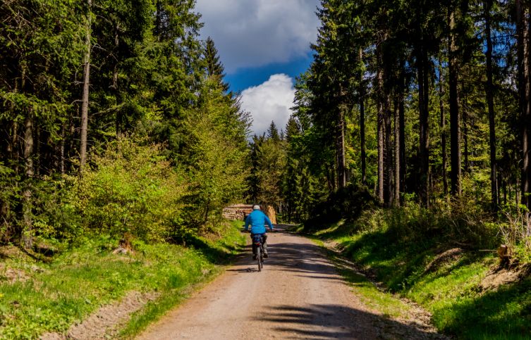 Fahrradweg im Thüringer Wald