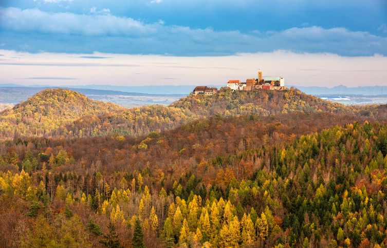 Wald rund um die Wartburg.