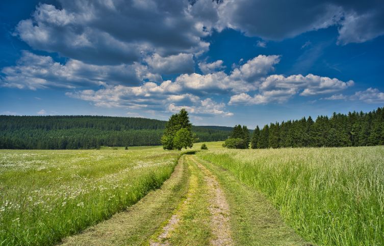 Rennsteig an der Wartburg.