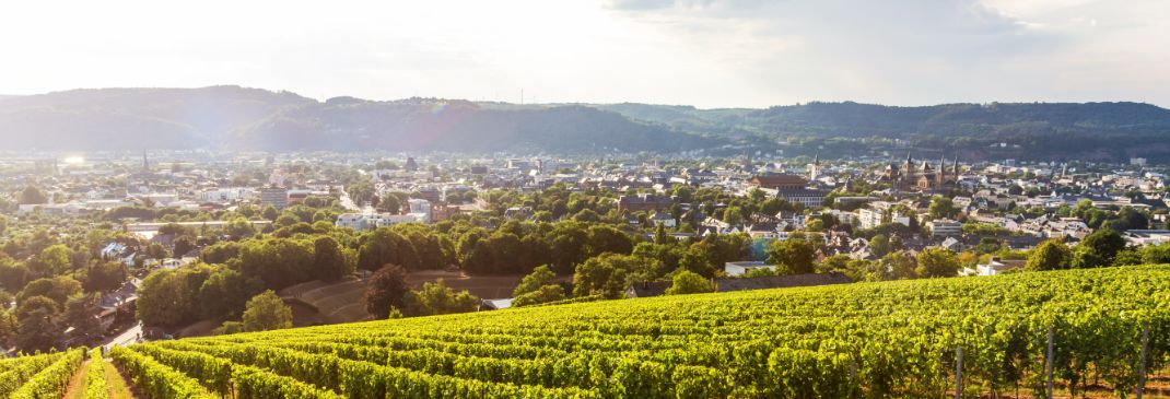 Autofahren in Trier und Umgebung