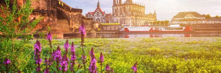 Die 5 besten Ausflugstipps um Dresden