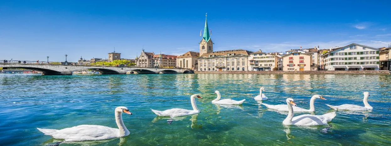 Le meilleur de Zurich en 5 catégories