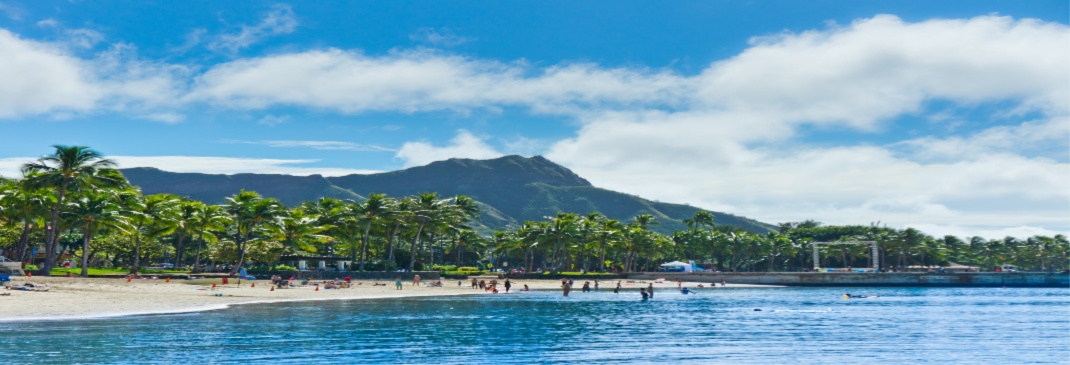 Image Result For Exotic Car Hire Honolulu Image Result For Exotic Car Hire Honolulu