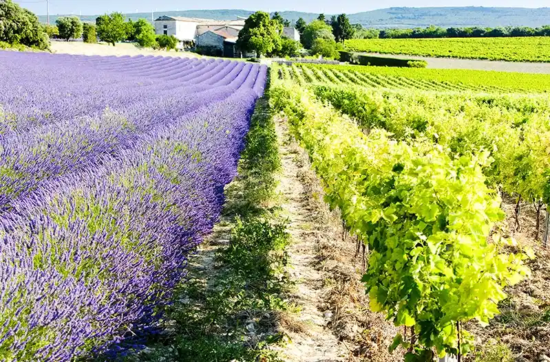 Itinéraire dans la vallée du Rhône