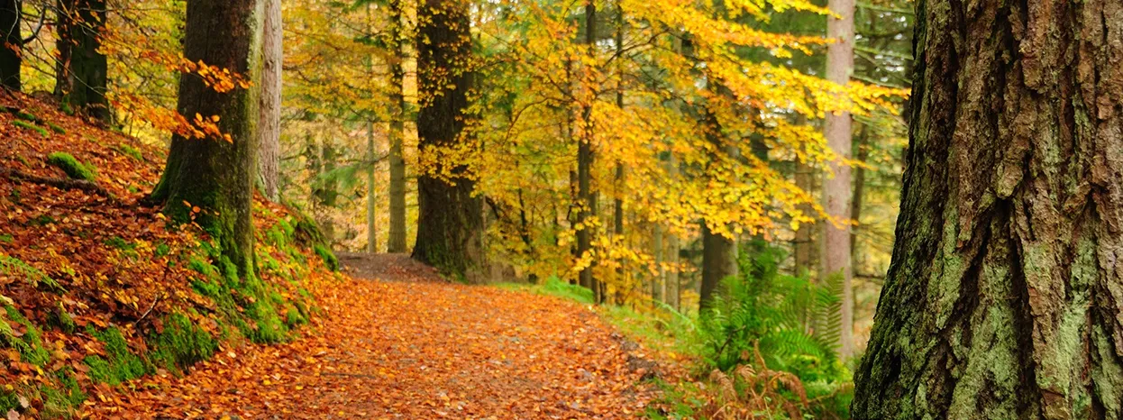 Las mejores escapadas de otoño en Reino Unido