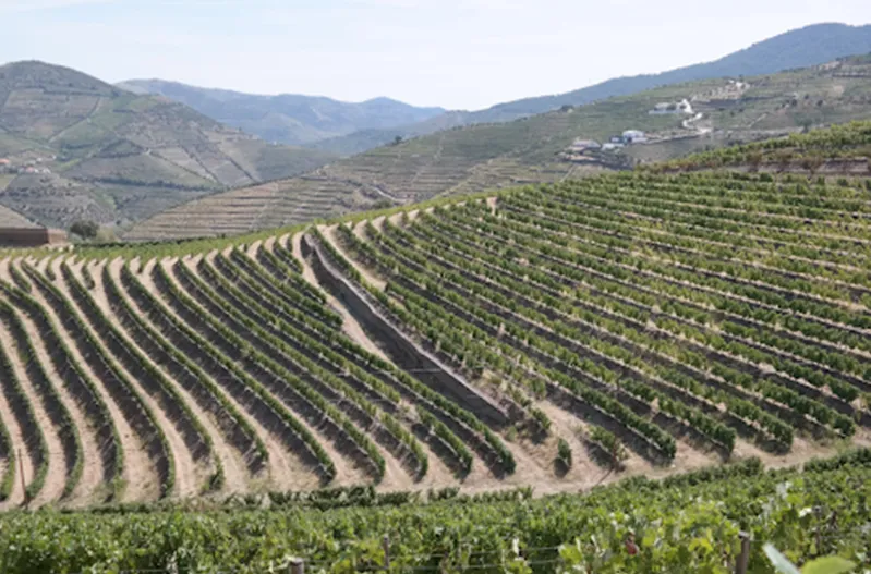 Aktivitäten im Douro