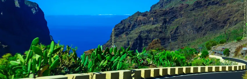 Alquiler de Coches Eléctricos en Tenerife: Cómo Explorar la Isla de Forma Sostenible