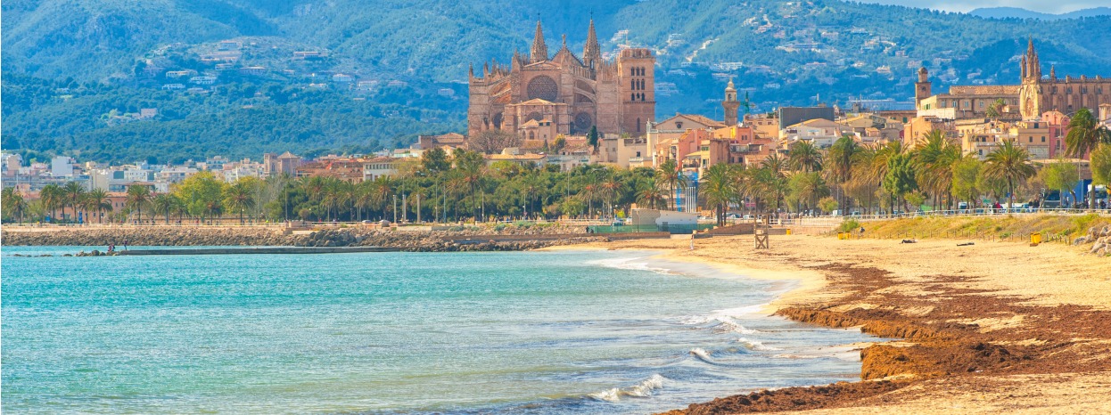 Una Guida Completa Su Palma Di Maiorca