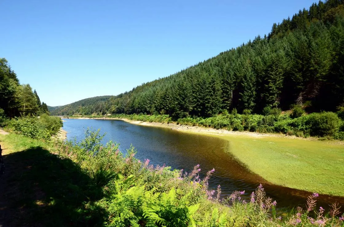 Le Parc Naturel Régional du Pilat