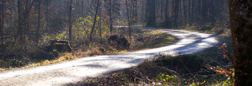 Autofahren in Zürich und Umgebung