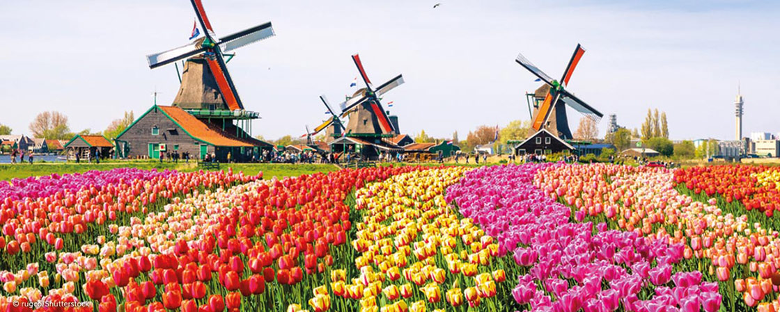 Zaanse Schans und seine Windmühlen