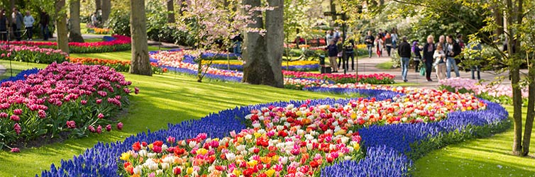 Jardines Keukenhof – Lisse, Países Bajos