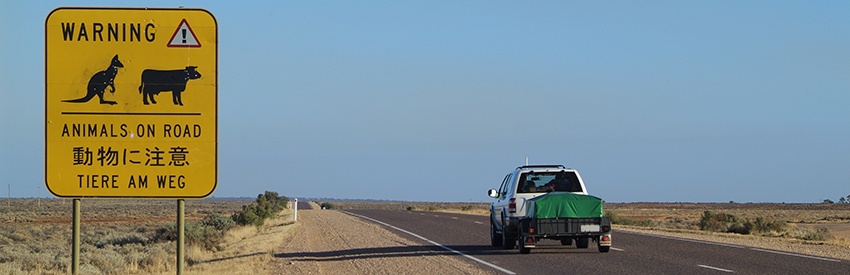 Hertz Car Rental Darwin Airport Hertz Car Rental Darwin Airport
