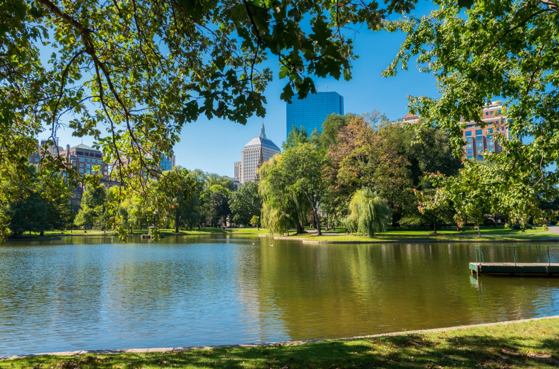 Der Boston Frog Pond im Sommer