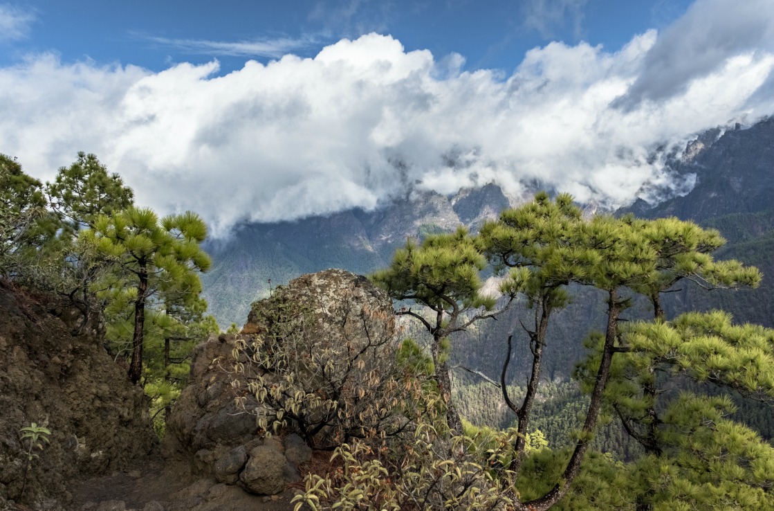 Aussicht von La Cumbrecita in La Palma