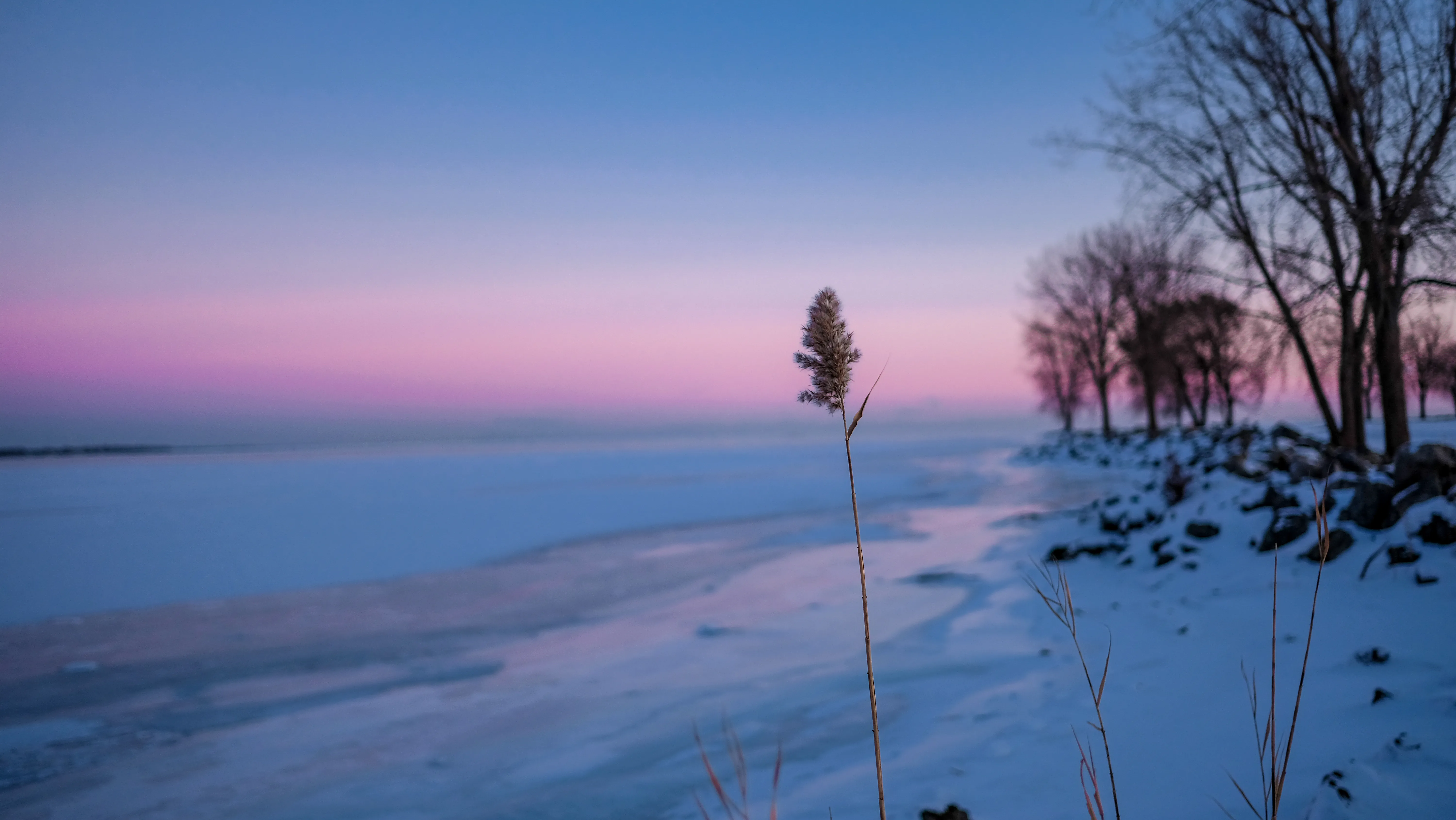 Lake Erie in Michigan