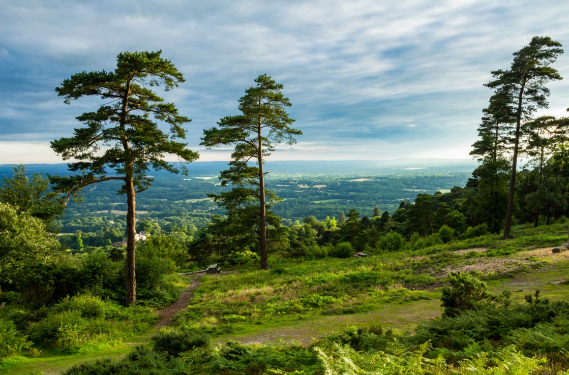 Die Landschaft um Surrey bei London