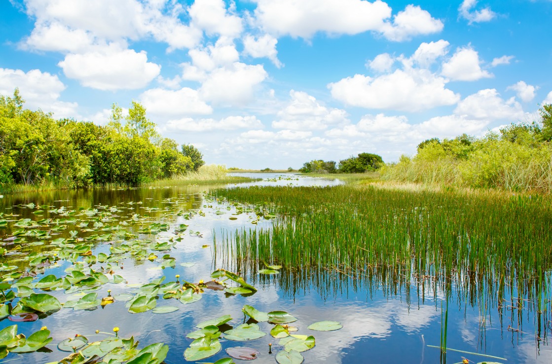 Everglades Nationalpark in Florida