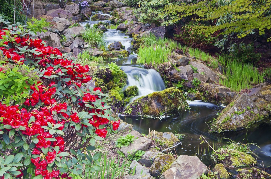 Chinesischer Garten in Edinburgh