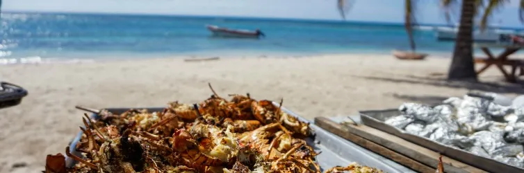 Die besten Food-Festivals in Florida 