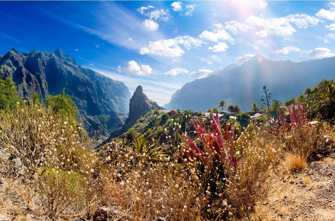 Blick über die schöne Landschaft an Teneriffas Küste