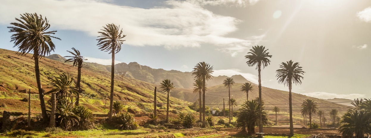 Ihr Reiseführer für Fuerteventura