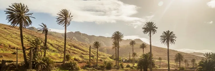 Ihr Reiseführer für Fuerteventura