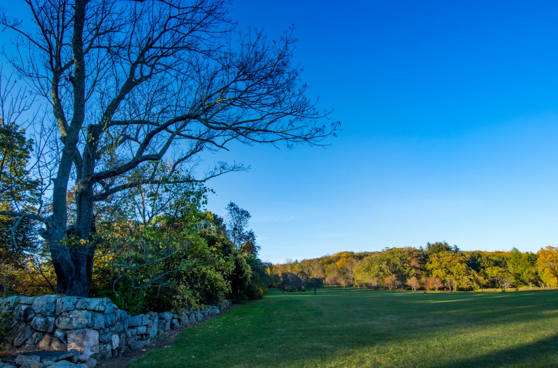 Newark Weequahic Park