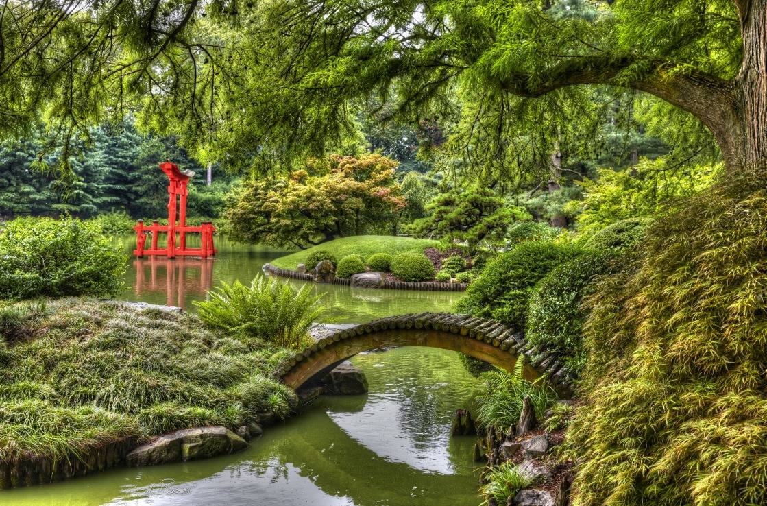 Der japanische Garten im Brooklyn Botanic Garden.