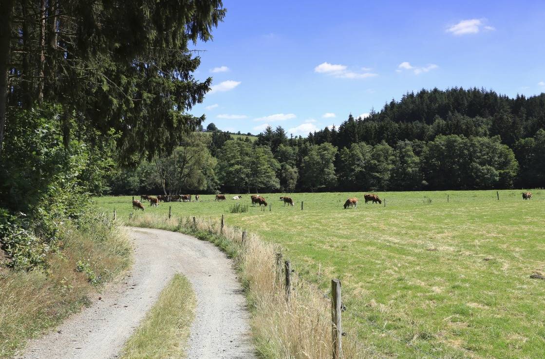 Radweg am Rande der ehemaligen Vennbahn-Strecke.