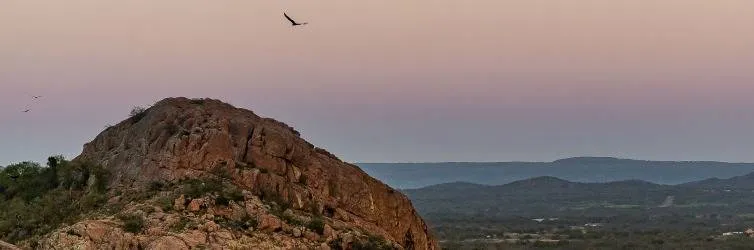 Die besten Adrenalin-Abenteuer in Austin 