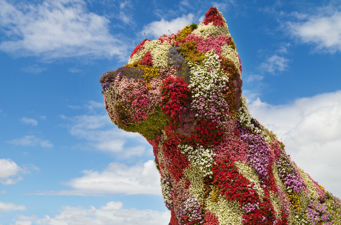 Blumenhund vor dem Guggenheim-Museum in Bilbao