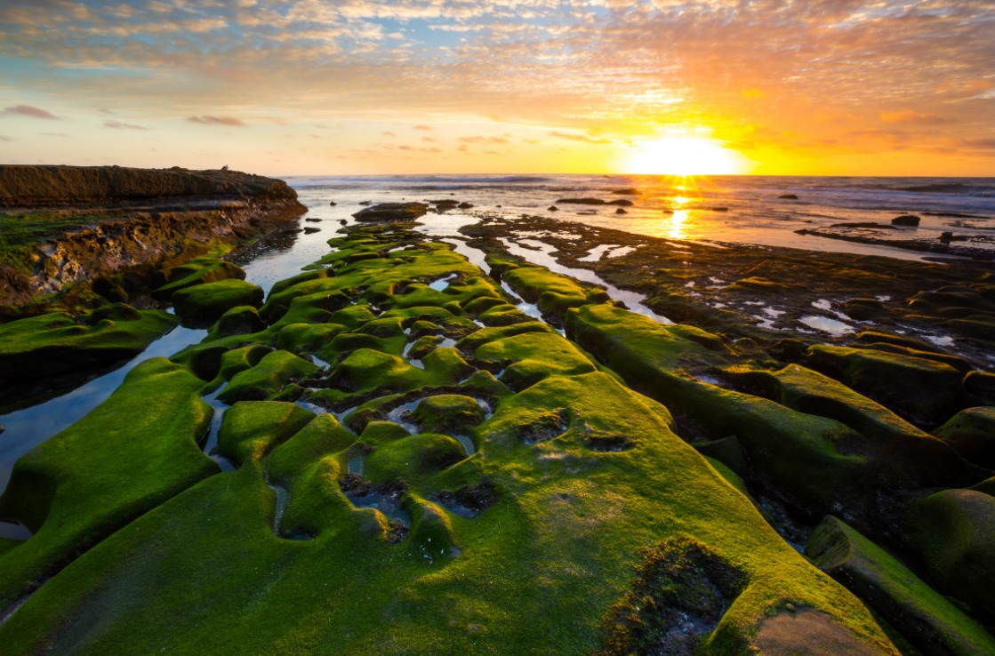 La Jolla Strand in der Nähe von San Diego